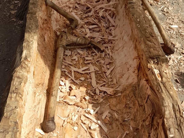 Bronze Age Canoe Project